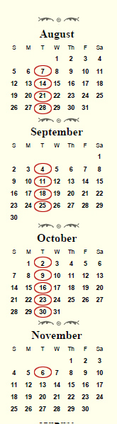 Tuesdays Until the End of Time